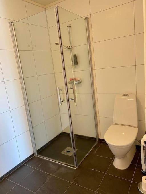 Leilighet Sentralt Pa Senja Silsand Zewnętrze zdjęcie